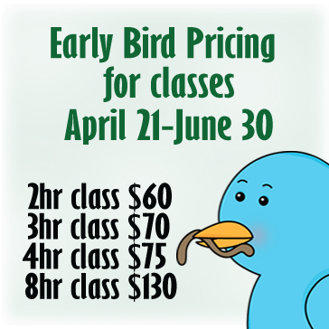 Early Bird Pricing